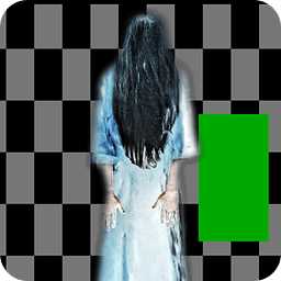 恐怖相机中文版