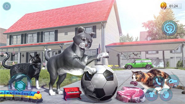 猫帮手模拟器最新版