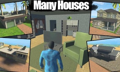 疯狂小镇中文破解版