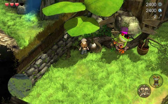 巴尔多守护者猫头鹰