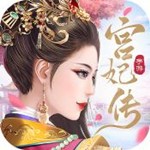 宫妃传游戏下载正版