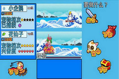 宠物王国5上帝版