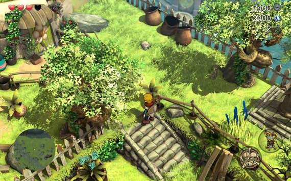 巴尔多守护者猫头鹰