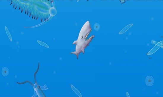 美味深蓝完整版