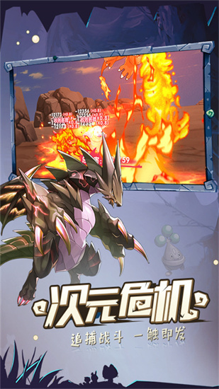 口袋觉醒九游版