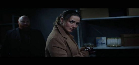 她看见的红色安卓中文版