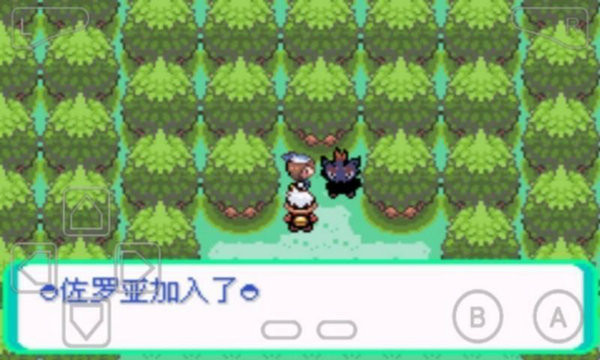 口袋妖怪漆黑魅影5.0