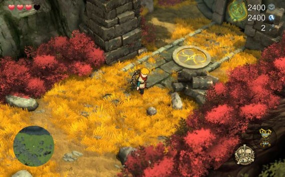 巴尔多守护者猫头鹰