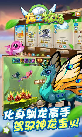 龙之牧场无限魔晶版