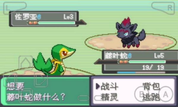 口袋妖怪漆黑魅影5.0