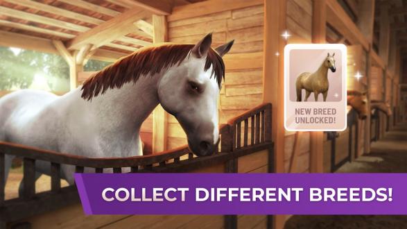 马术世界巡回赛