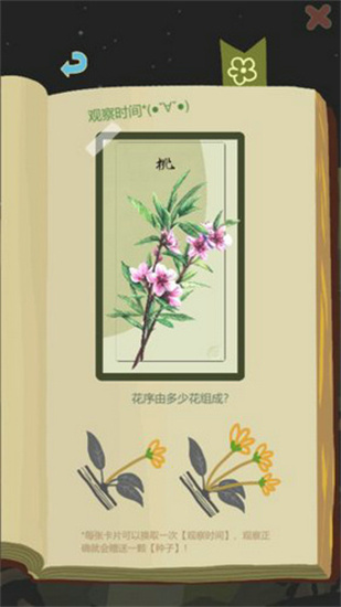 老农种树游戏安卓版