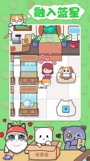 蓝星猫猫教手游