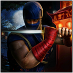 忍者战斗狂欢完整版