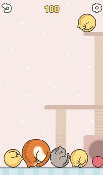 合成大猫咪正式版