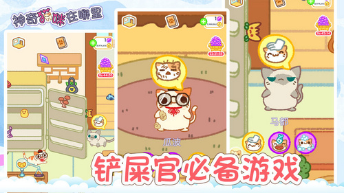 神奇猫咪在哪里