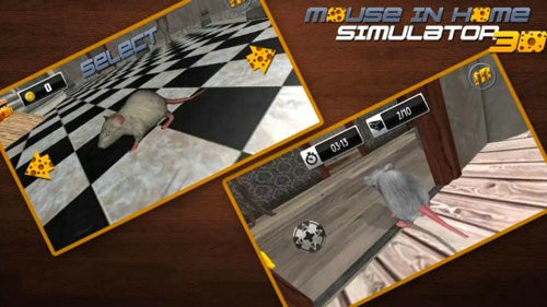 猫鼠之战安卓版