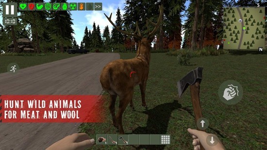 幸存者遗忘的森林无限金币版