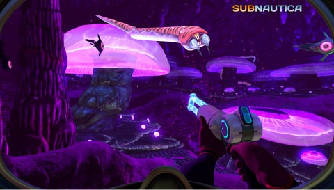 美丽水世界中文版