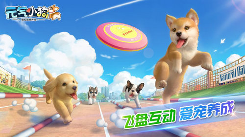 元气小狗游戏