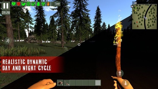 幸存者遗忘的森林无限金币版