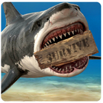 木筏生存内购版