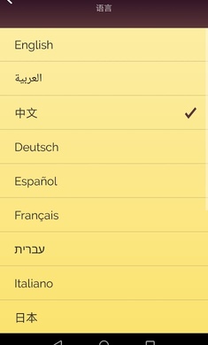 网络天才中文版