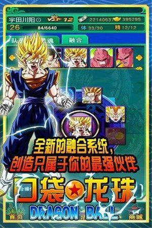 口袋龙珠破解版