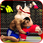 武术笼战王中文版