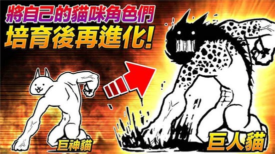 猫咪大作战2021最新版