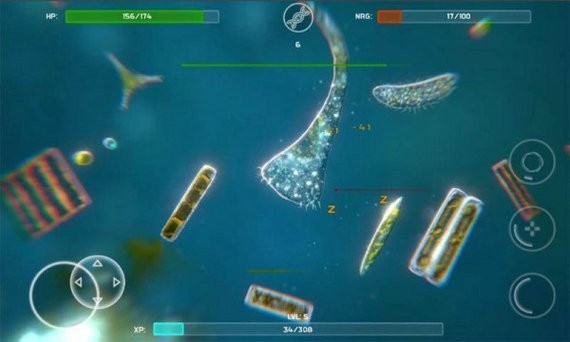 孢子进化论3无限等级版