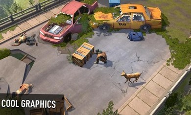 几日之后内购破解版