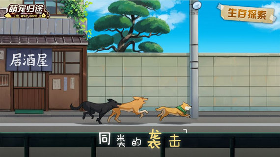 萌宠归途无限金币版