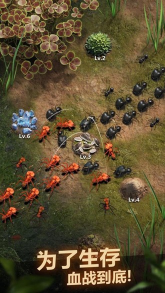 小小蚁国安卓版