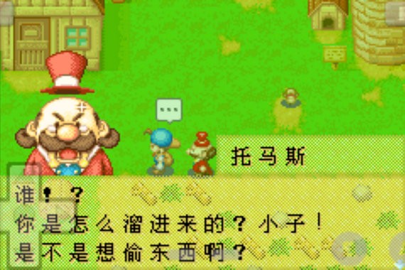 牧场物语矿石镇