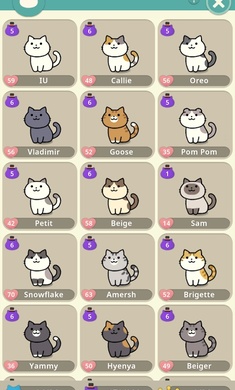 神秘猫咪字典安卓版