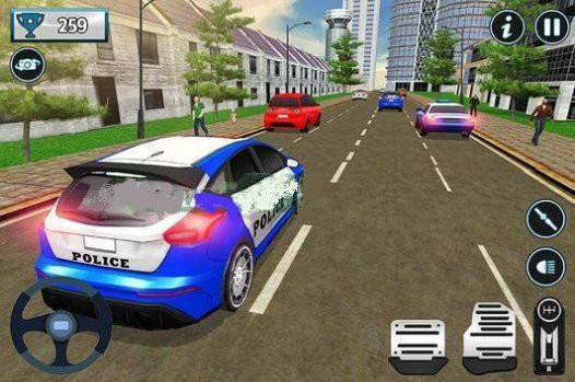 警察城市交通督导员