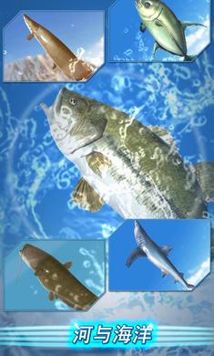 钓鱼季手机版