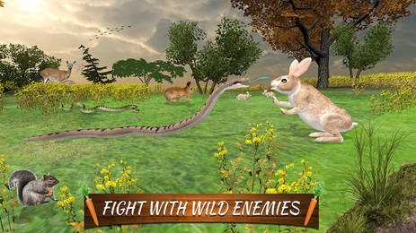 终极兔子模拟器中文版