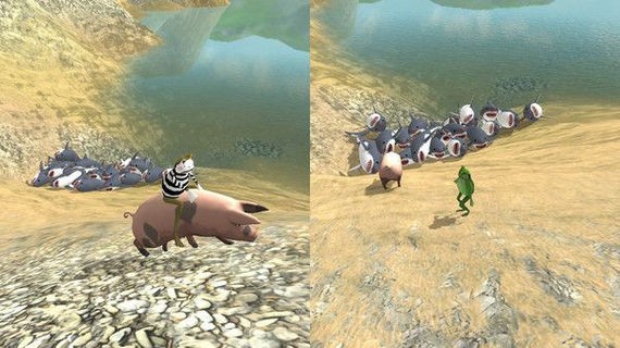 神奇的青蛙中文版