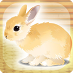治愈兔兔养成汉化版
