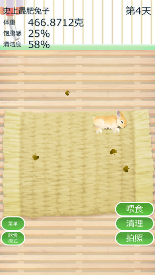 治愈兔兔养成汉化版