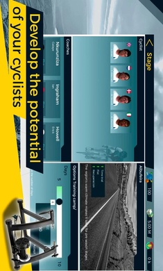 真实自行车队经理2安卓版