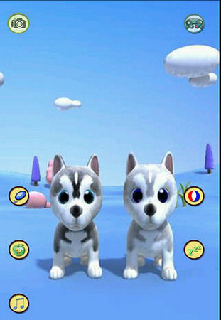 会说话的小狗最新版