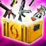 csgo开箱模拟器手机版