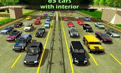 真实停车场最新版