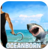 真实海上木筏求生