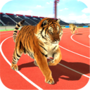 野生动物赛跑