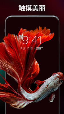 动态主题壁纸超清软件