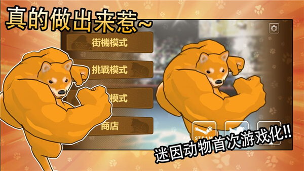 动物之斗破解版